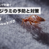 【これで完璧！】トコジラミ（ベッドバグ・南京虫）の習性を知り対策と予防を