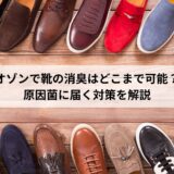 オゾンで靴の消臭はどこまで可能？原因菌に届く対策を解説