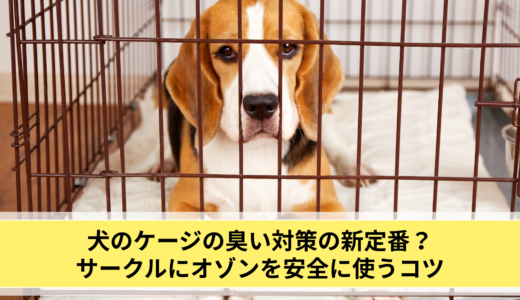 犬のケージの臭い対策の新定番？サークルにオゾンを安全に使うコツ