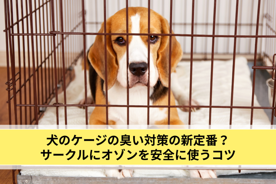 犬のケージの臭い対策の新定番？サークルにオゾンを安全に使うコツ