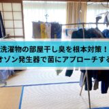 洗濯物の部屋干し臭を根本対策！オゾン発生器で菌にアプローチする方法